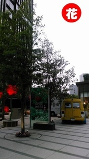 nagatatyo.jpg